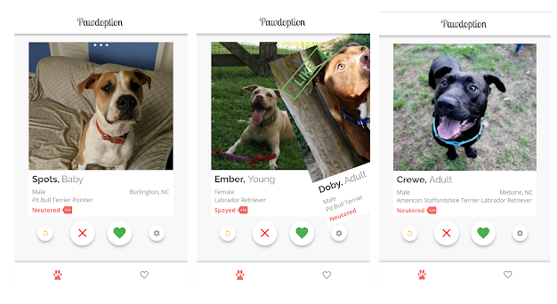 Pawdoption - open-source Tinder for pet